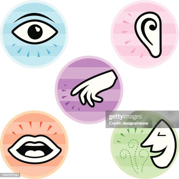 ilustraciones, imágenes clip art, dibujos animados e iconos de stock de cinco sentidos iconos - percepción sensorial