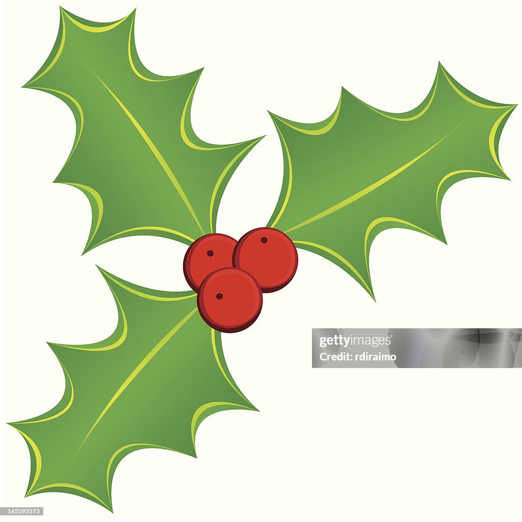 Holly