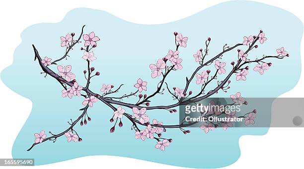 花店 - 桜の樹点のイラスト素材／クリップアート素材／マンガ素材／アイコン素材