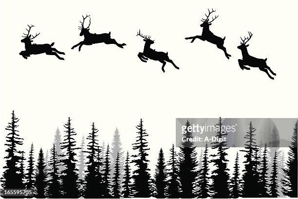 illustrations, cliparts, dessins animés et icônes de reindeerdance - bordé d'arbres