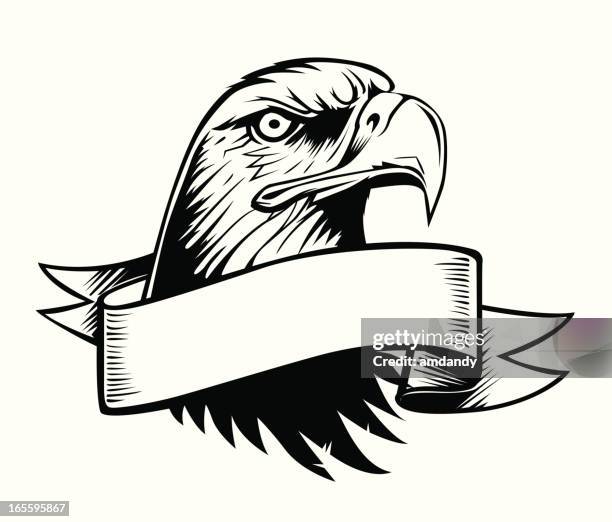 proud eagle and vintage banner - bald eagle stock illustrations