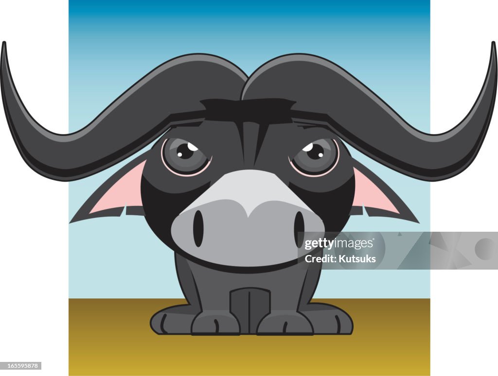 African Buffalo