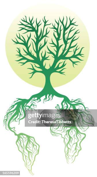 Vector Root System Root System Vector Photos and Premium High Res Pictures - Getty Images