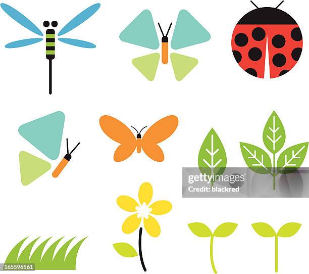 insekten und garten - niedlich stock-grafiken, -clipart, -cartoons und -symbole