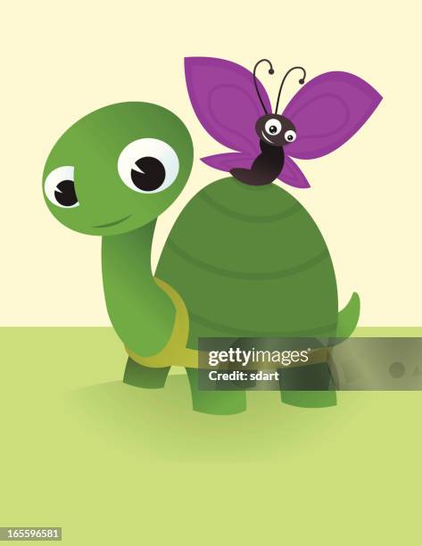 turtle and butterfly - turtle shell stock illustrations