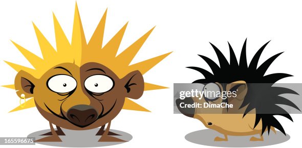 Hedgehogs Hedgehogs