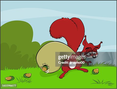 A squirrel makes its harvest. A squirrel makes its harvest.