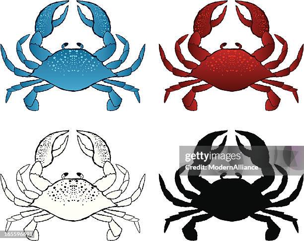 stockillustraties, clipart, cartoons en iconen met pen and ink crab - krab gerecht