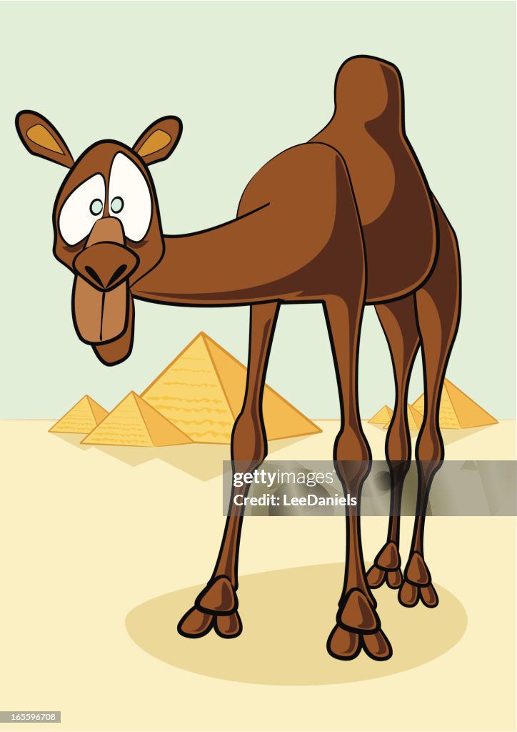 Camel Cartoon High-Res Vector Graphic - Getty Images Camel Cartoon High-Res Vector Graphic - Getty Images