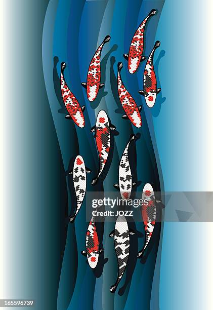sea of koi - carp stock illustrations