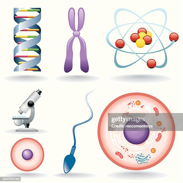 ilustraciones, imágenes clip art, dibujos animados e iconos de stock de conjunto de iconos de la biología - cell structure