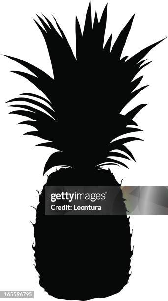 pineapple - pineapple on white stock illustrations