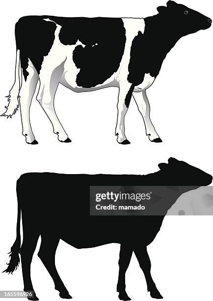 ilustraciones, imágenes clip art, dibujos animados e iconos de stock de vaca lechera - concept does not exist