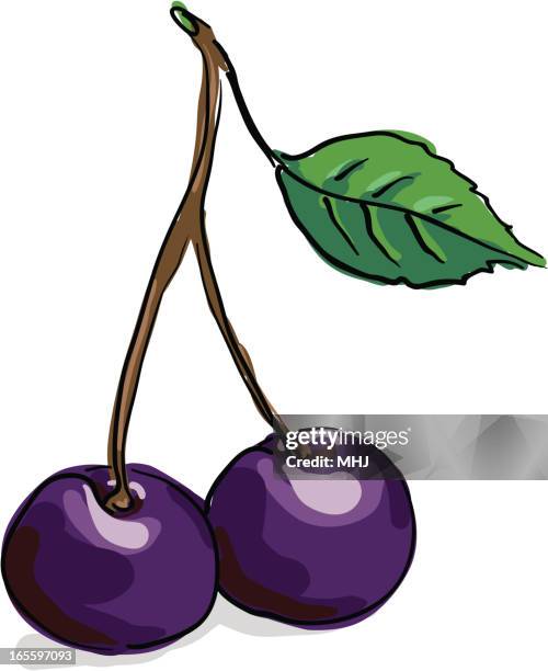 two black cherries - black cherry stock illustrations