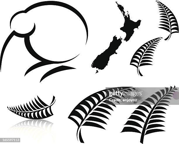 new neuseeland symbole - farn stock-grafiken, -clipart, -cartoons und -symbole