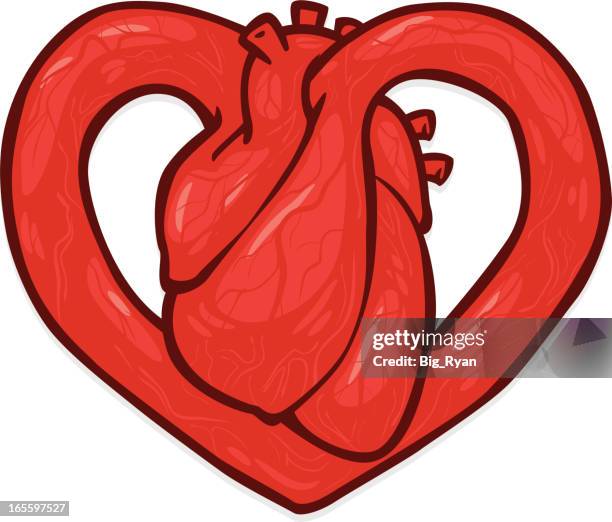 hearty heart - atrium stock illustrations