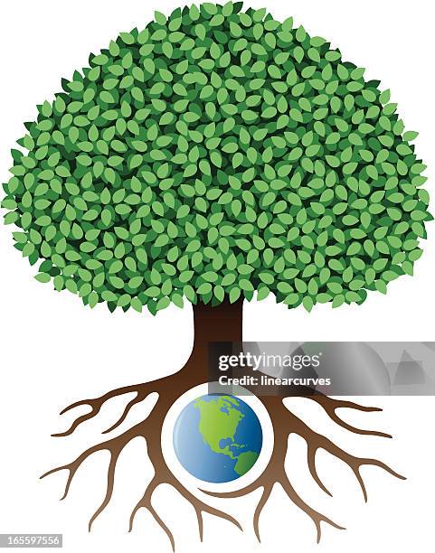 earth tree - tree roots white background stock illustrations