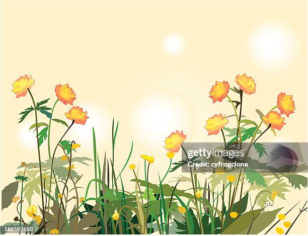 gras - reforestation stock-grafiken, -clipart, -cartoons und -symbole