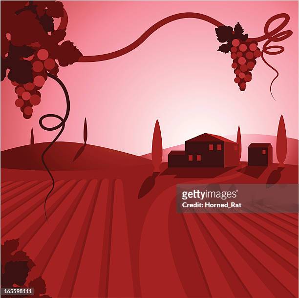 a cartoon depiction of a wine vineyard and houses - vineyards stock illustrations