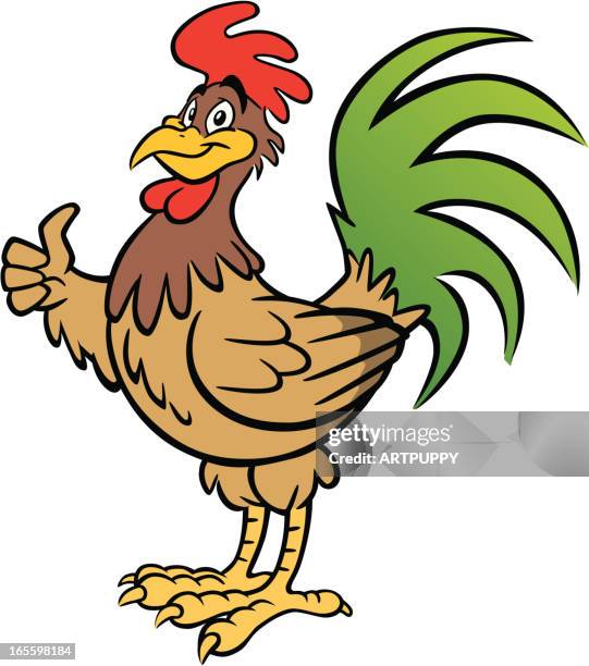 rooster - cartoon chicken stock illustrations