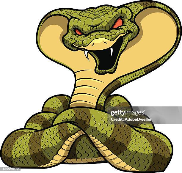 stockillustraties, clipart, cartoons en iconen met cobra mascot - cobra