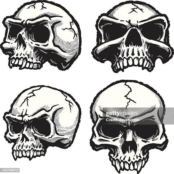 skull 4-pack - skull stock illustrations