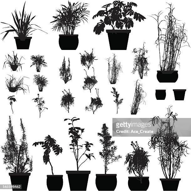 plant silhouette collection - flower pot stock illustrations