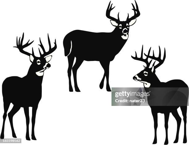 8 004点の鹿イラスト素材 Getty Images 8 004点の鹿イラスト素材 Getty Images