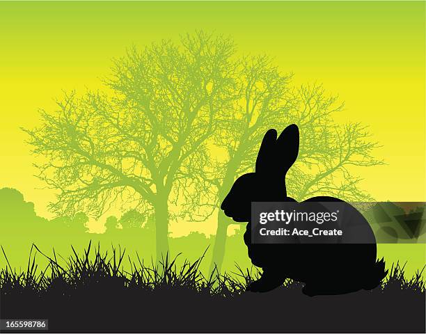 Side View Rabbit Pattern 121 Rabbit Side View High Res Vector Graphics - Getty Images