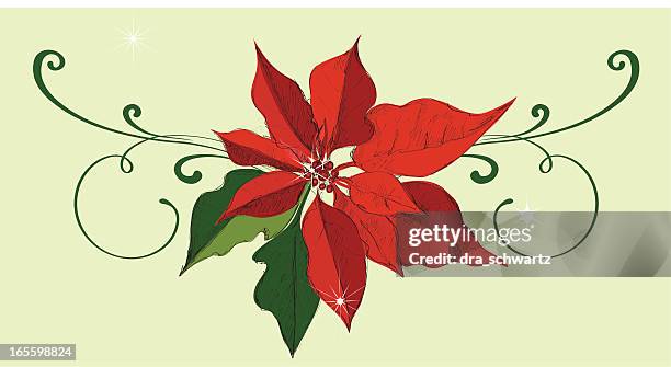 weihnachtsstern - weihnachtsstern stock-grafiken, -clipart, -cartoons und -symbole