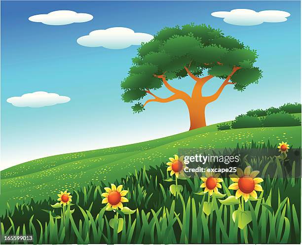 hillside - single flower in field stock illustrations