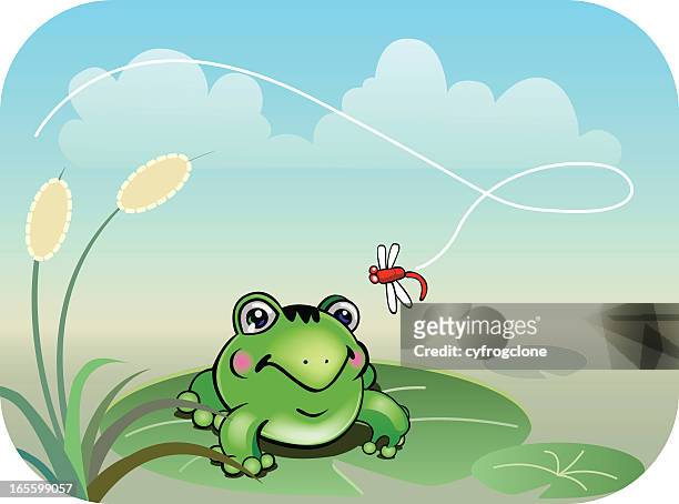stockillustraties, clipart, cartoons en iconen met frog and dragonfly - megophrys