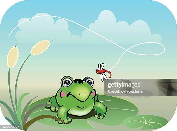frog and dragonfly - glass frog stock illustrations