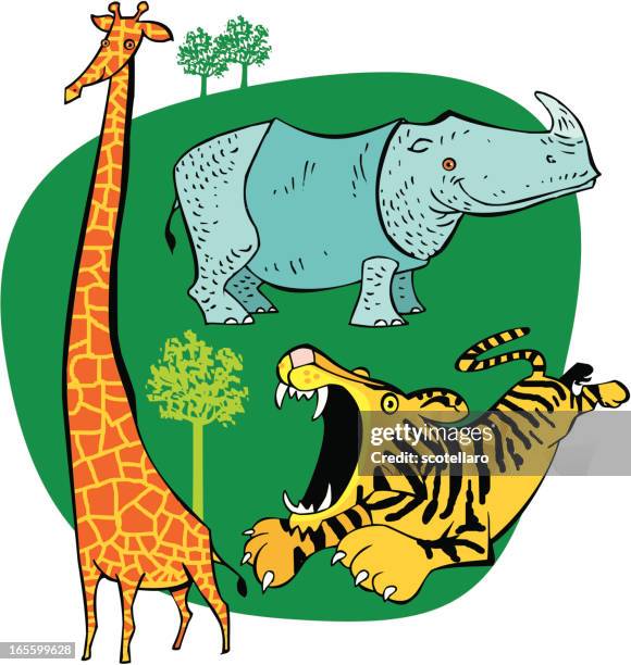 wild animals - tiger pouncing stock illustrations