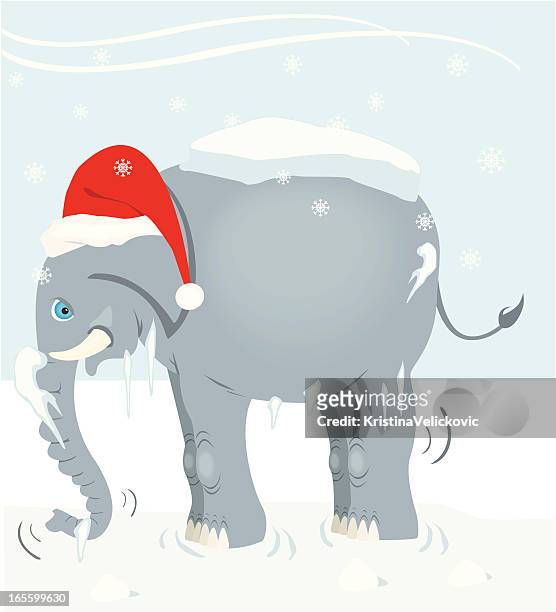 elephant - white elephant stock-grafiken, -clipart, -cartoons und -symbole