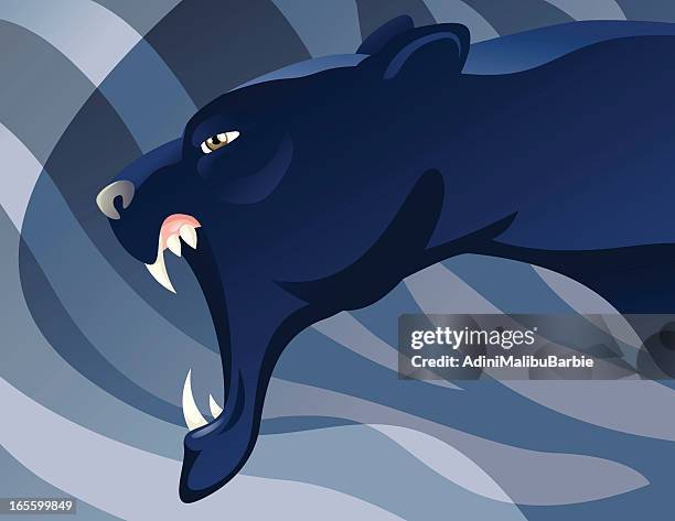 panther - black leopard stock illustrations