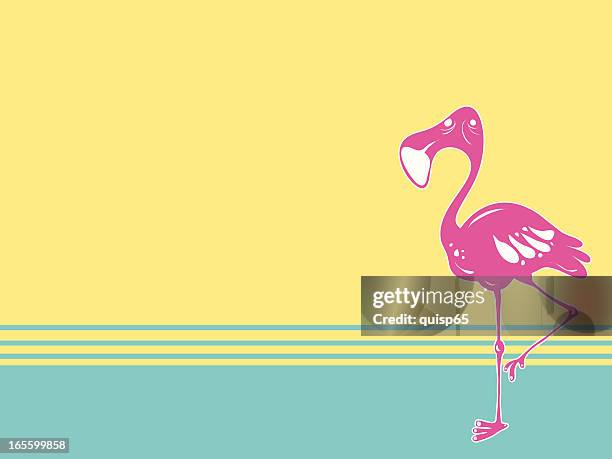 flamingo background - flamingo pattern stock illustrations