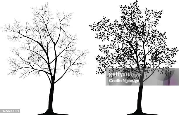 stockillustraties, clipart, cartoons en iconen met two tree silhouettes in black on white background - tak plantdeel