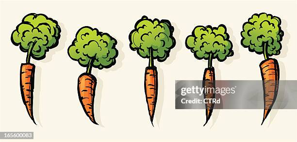 carrots - vitamin a nutrient stock illustrations