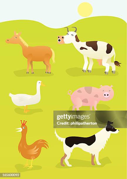 farm animals - horses grazing stock illustrations