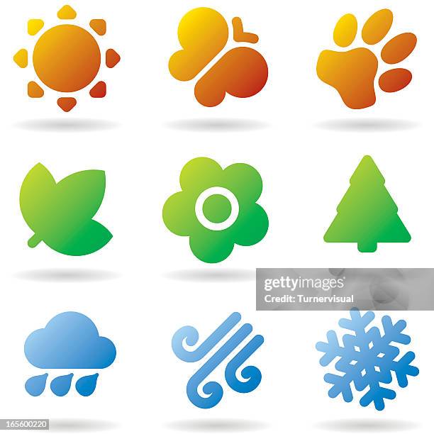 nature elements - tree shadow white stock illustrations