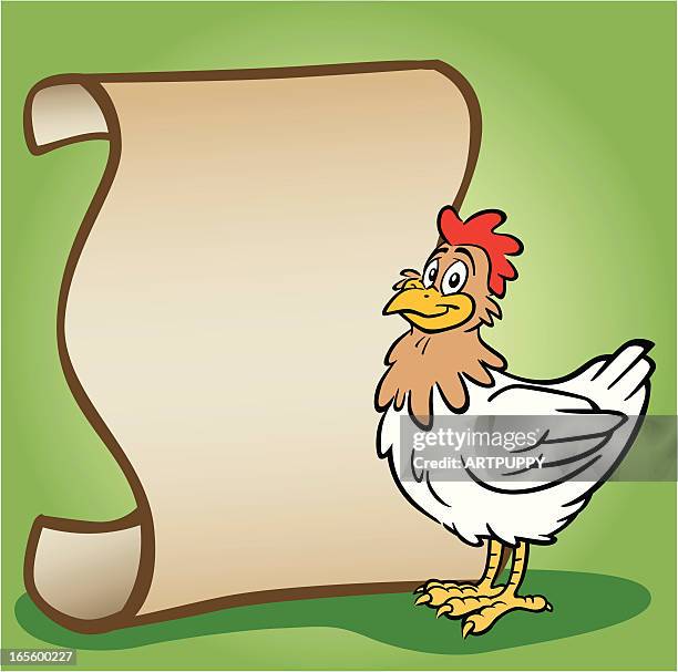 chicken standing next to scroll - parchment scroll stock illustrations