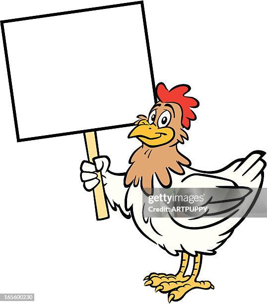 chicken holding sign - cartoon chickens stock illustrations