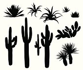 Dry Climate Plants  And Cactii Vector Silhouette
