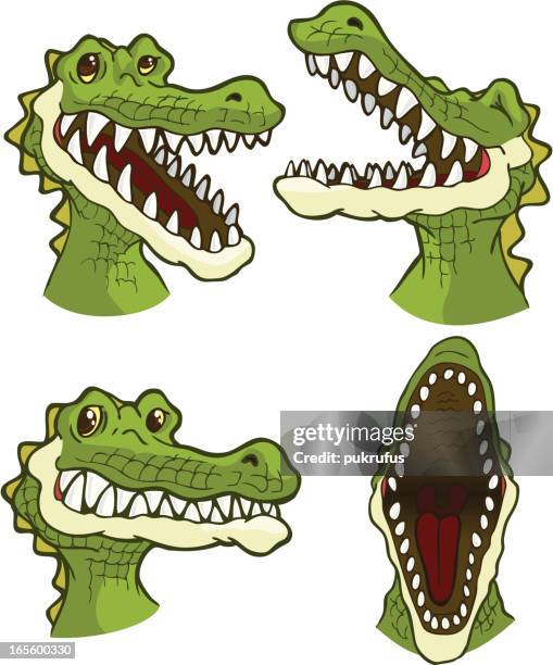 ilustraciones, imágenes clip art, dibujos animados e iconos de stock de sonrisas de cocodrilo - crocodile