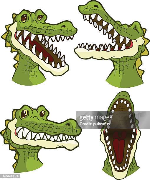 ilustrações de stock, clip art, desenhos animados e ícones de croc sorrisos - crocodilo