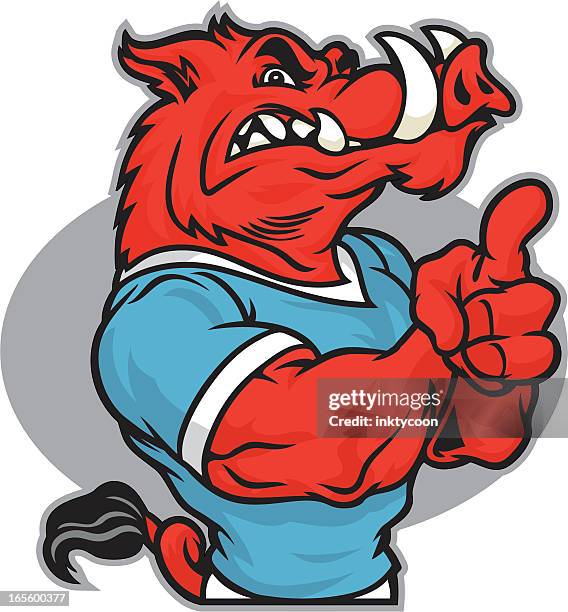 Imagen Razorbacks Razorback Pig FotografÃas e imágenes de stock - Getty Images