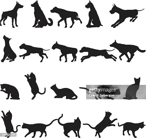 hunde und katzen - dogs and cats stock-grafiken, -clipart, -cartoons und -symbole