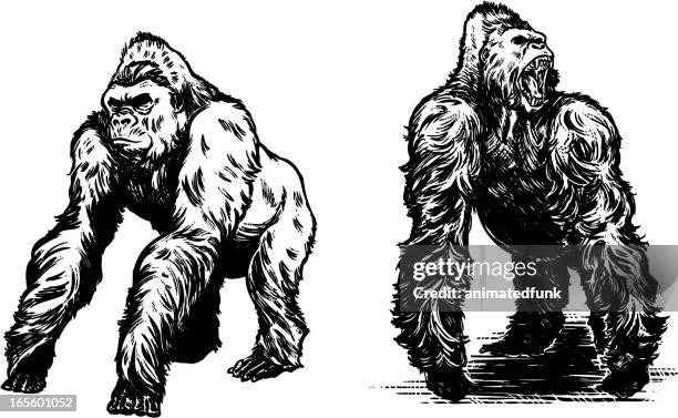 gorillas in schwarz - gorilla stock-grafiken, -clipart, -cartoons und -symbole