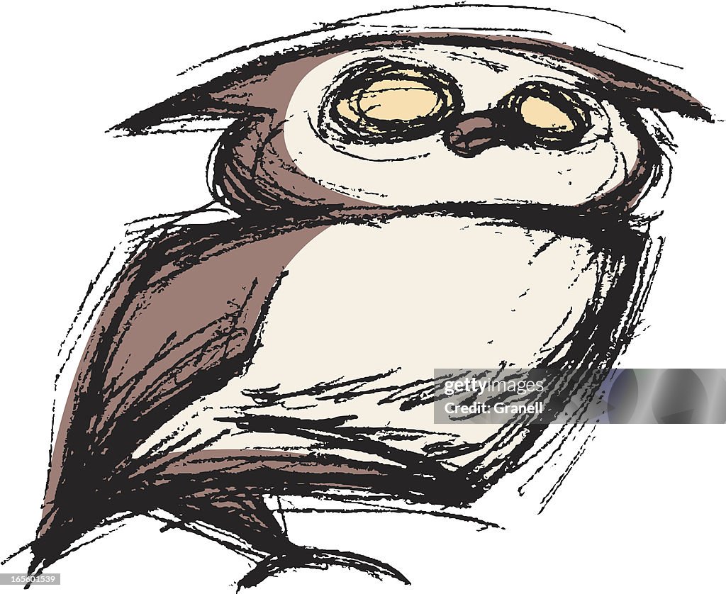 Owl